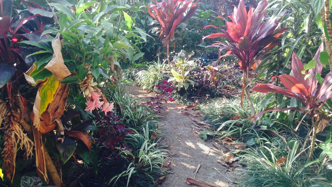 Photo of Others in Hilo