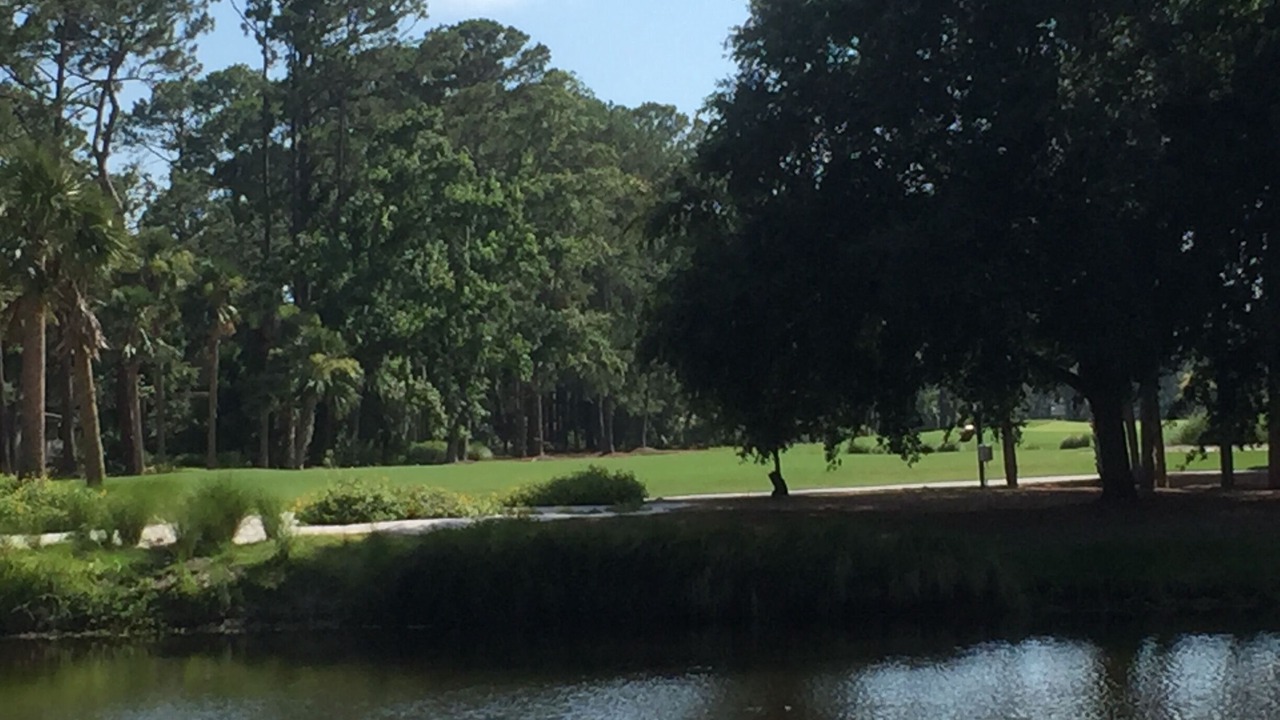 Photo of Others in Sea Pines