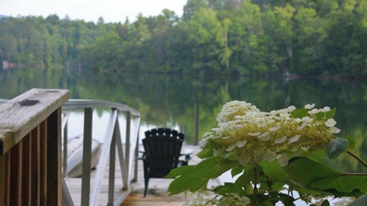 Photo of Outdoor in Santeetlah