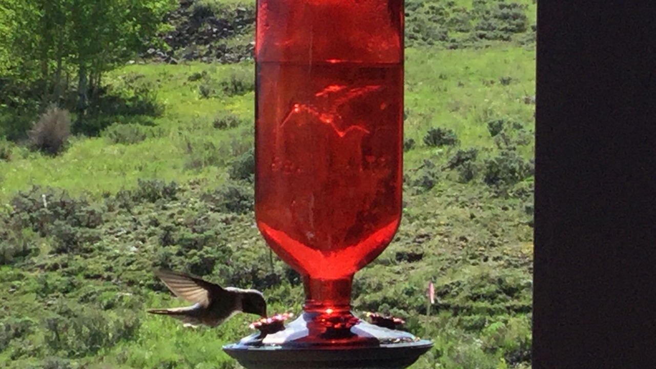 Photo of Others in Silvercreek
