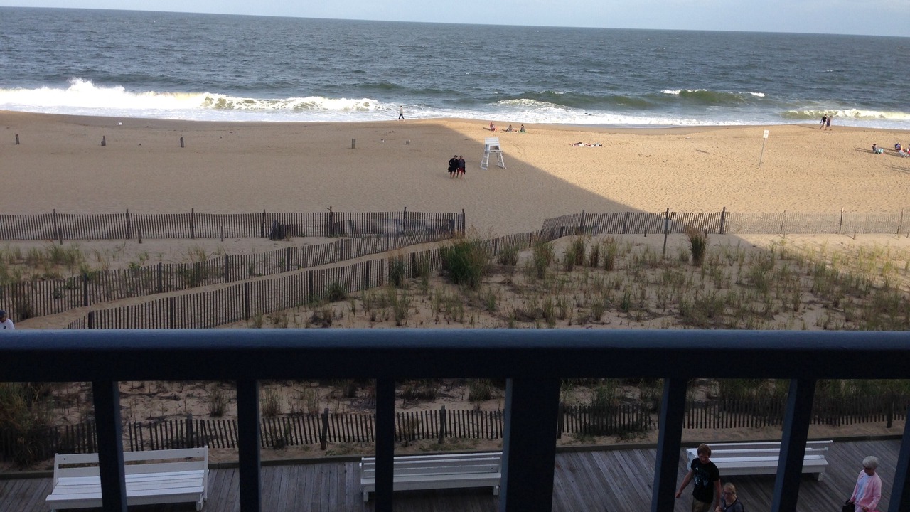 Photo of Others in South Rehoboth