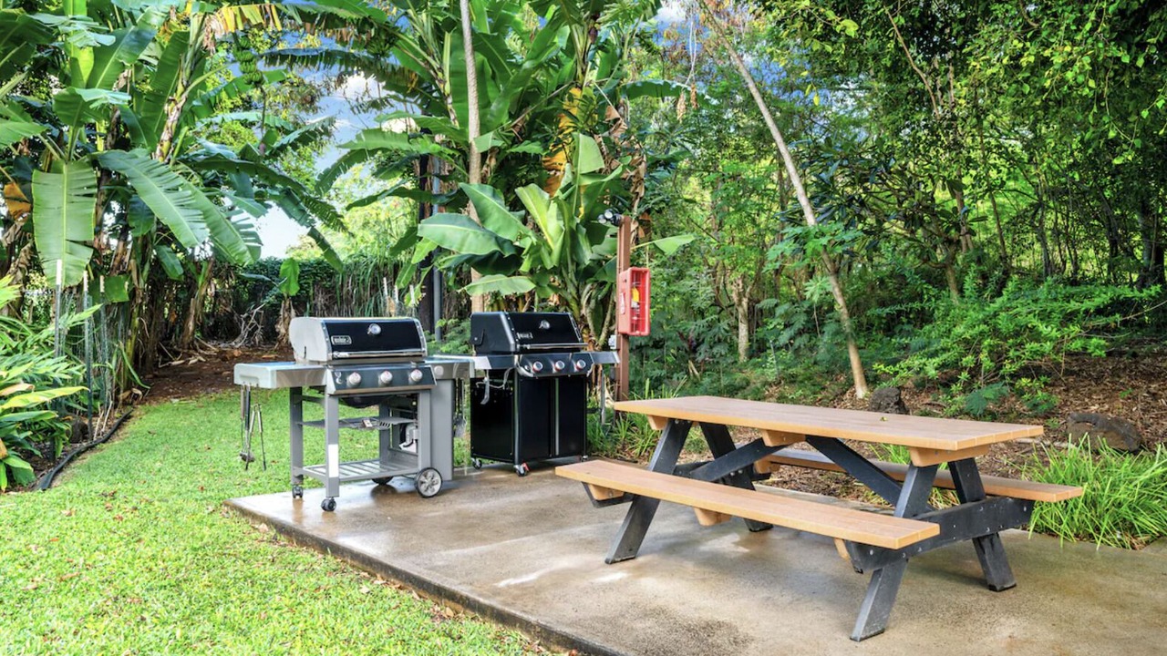 Photo of Outdoor in Poipu