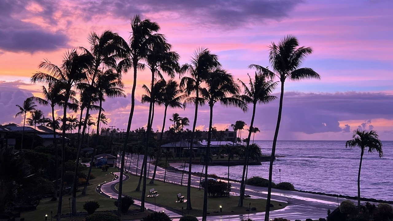 Photo of Others in Poipu