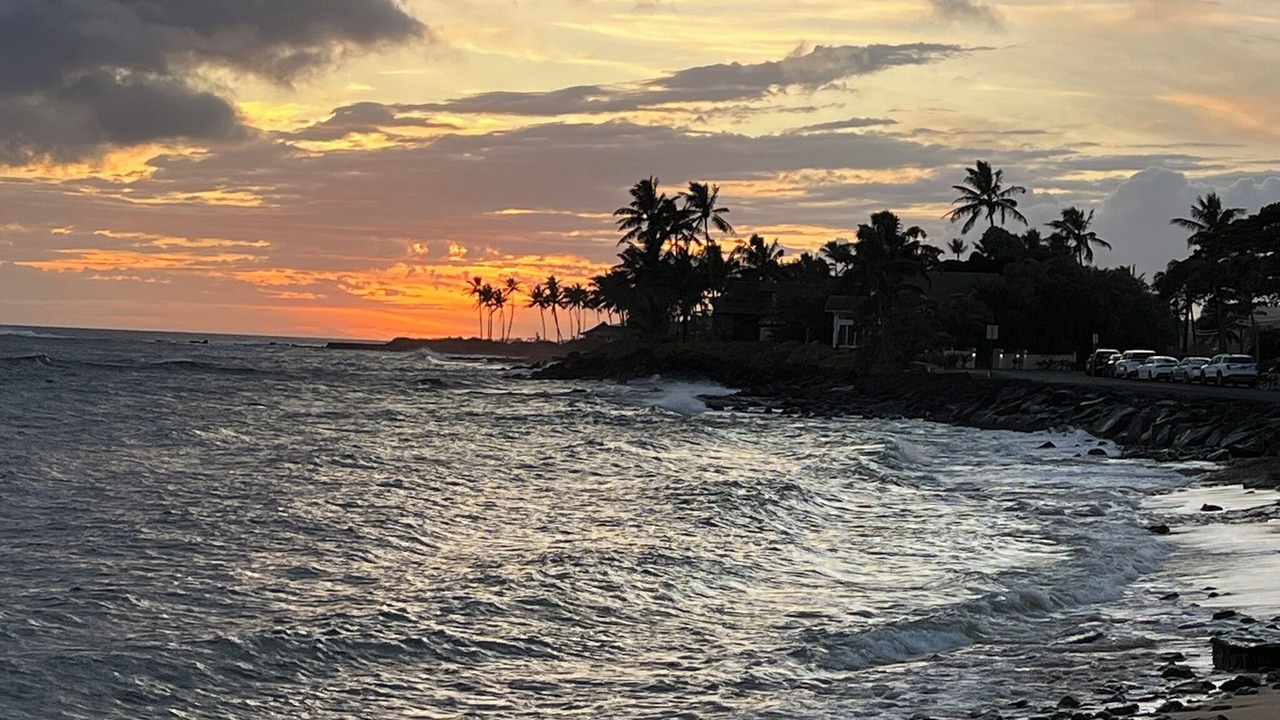 Photo of Others in Poipu