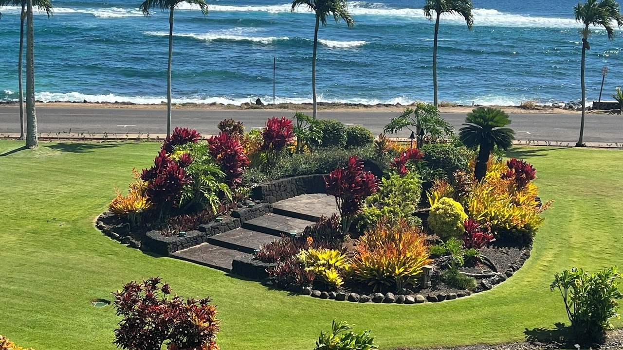 Photo of Outdoor in Poipu