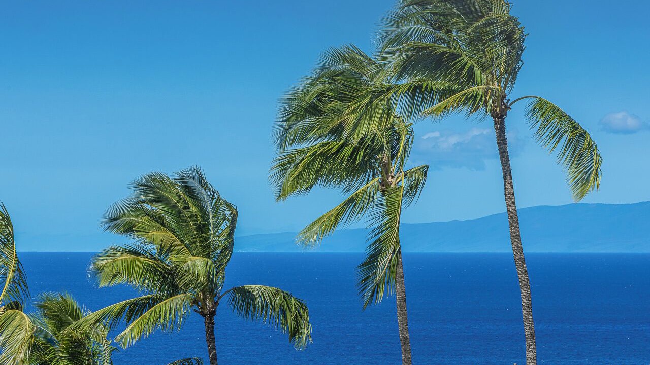 Photo of Others in Wailea