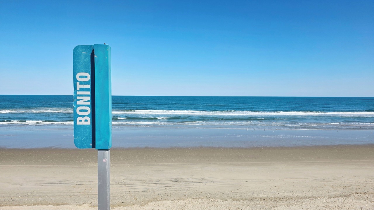 Photo of Others in Monteray Shores