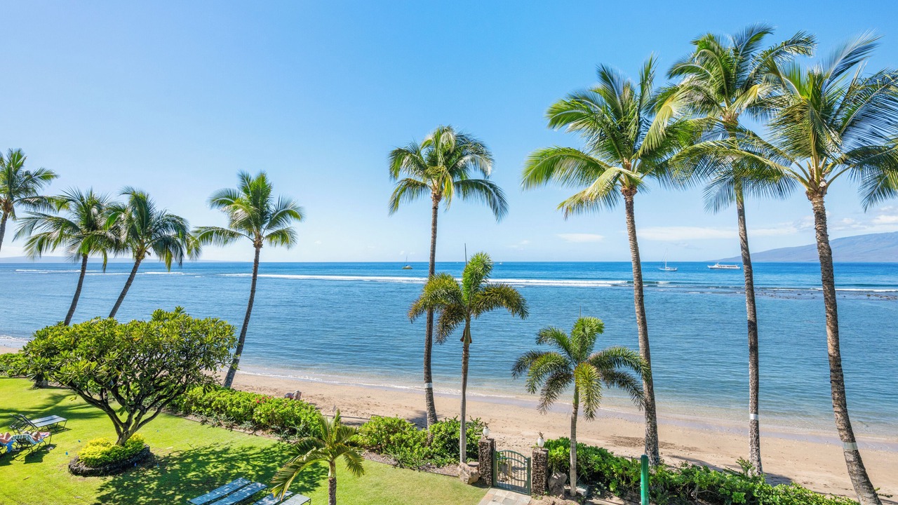 Photo of Others in Historic Lahaina Front Street