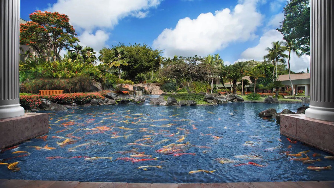 Photo of Outdoor in Lihue
