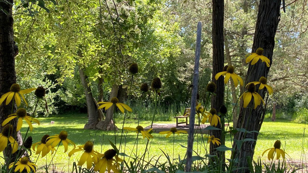 Photo of Outdoor in Pecos