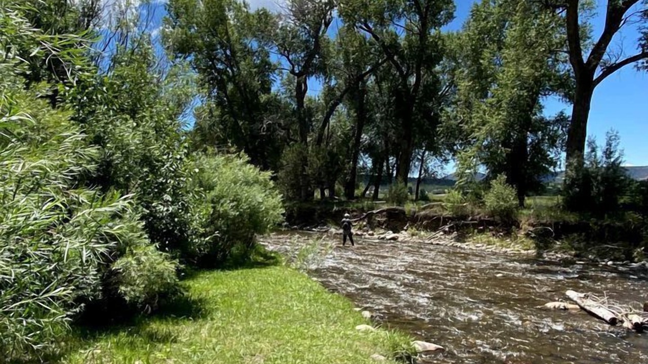 Photo of Others in Pecos