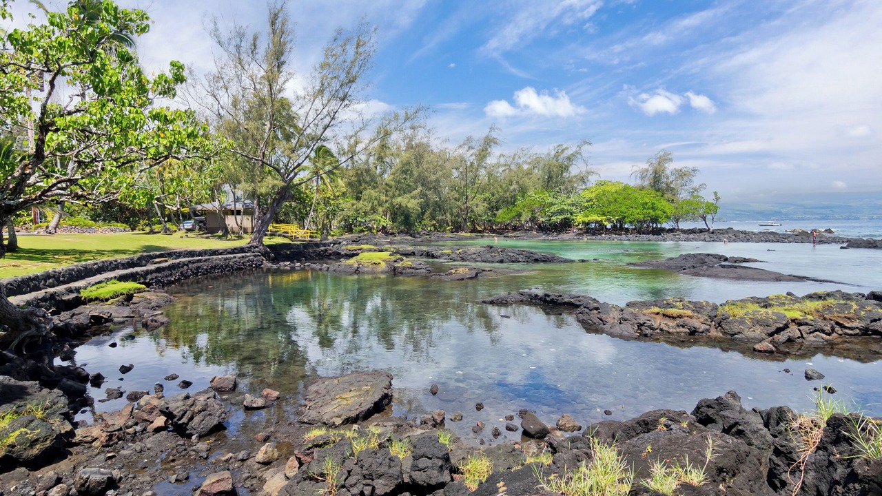 Photo of Others in Hilo