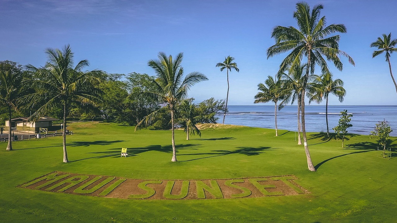 Photo of Outdoor in Kihei