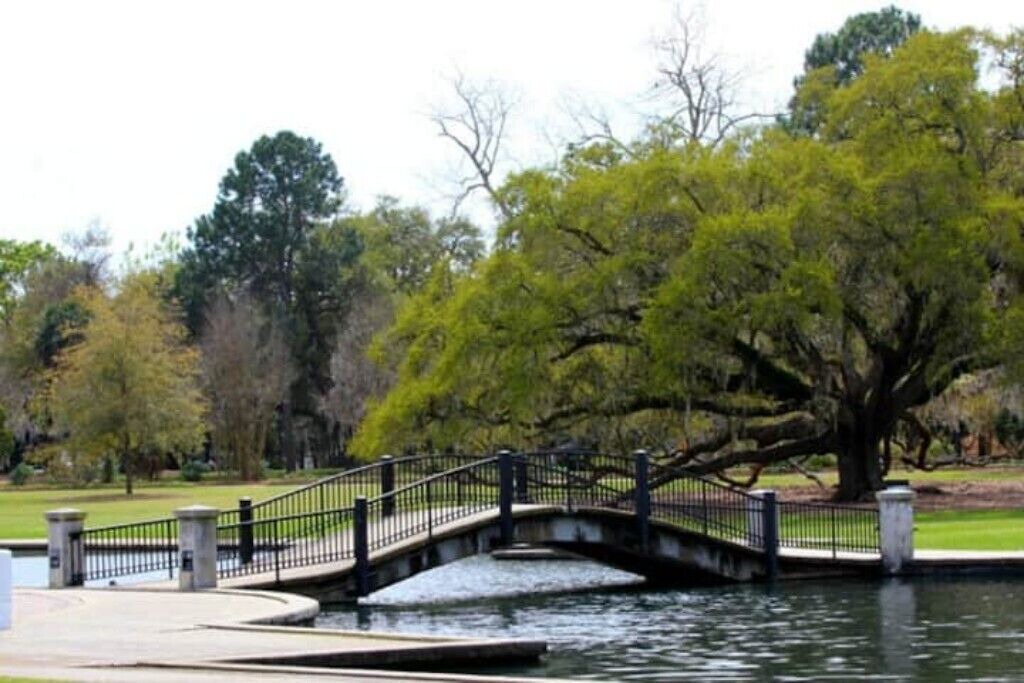 Photo of Others in Charleston