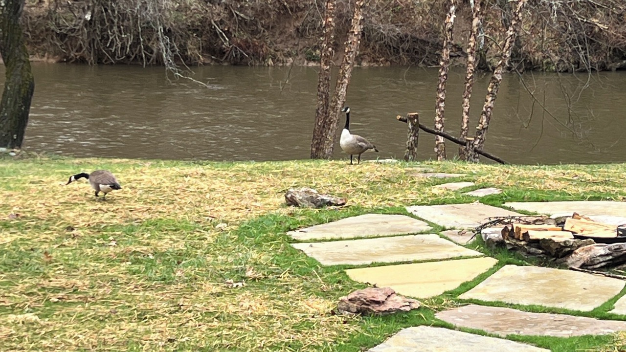 Photo of Others in Sylva