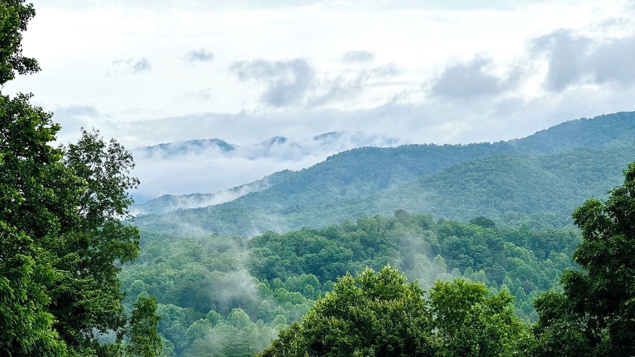 Photo of Others in Cherokee