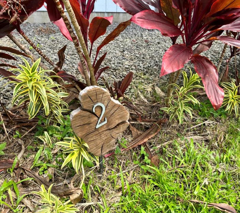 Photo of Others in Hilo
