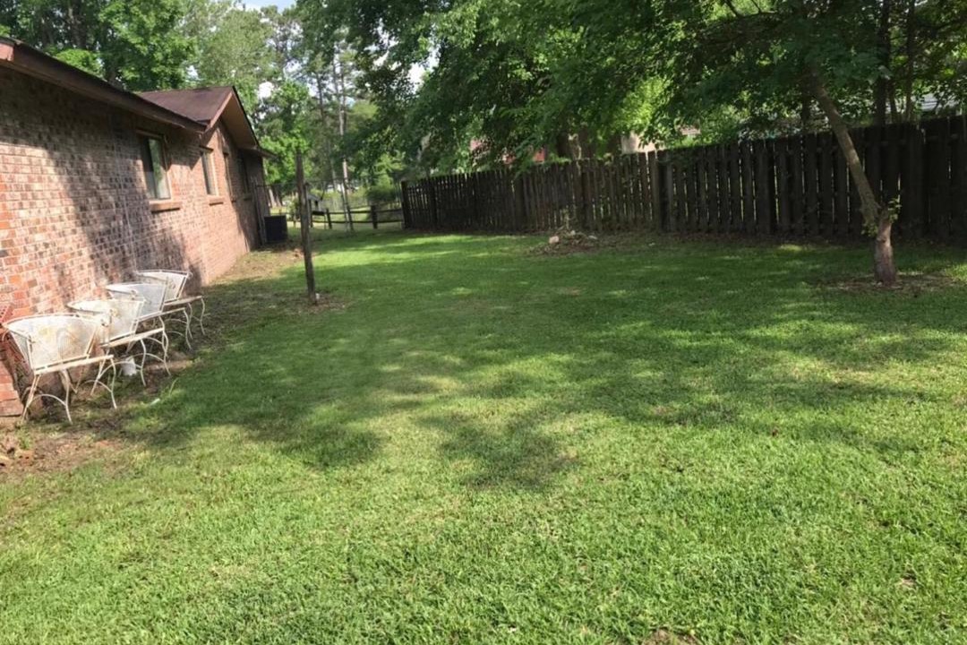 Photo of Others in Piney Green