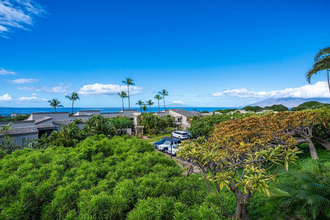 Photo of Others in Wailea