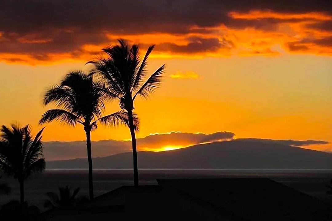 Photo of Others in Wailea