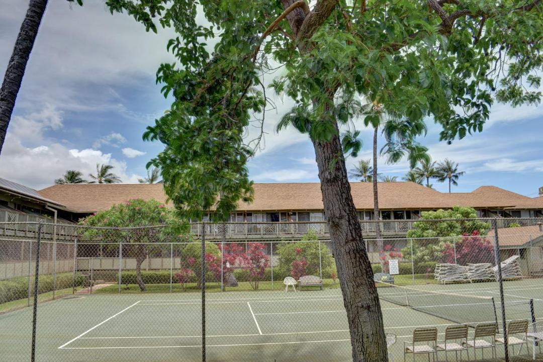 Photo of Others in Kihei