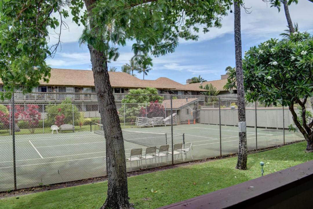 Photo of Others in Kihei