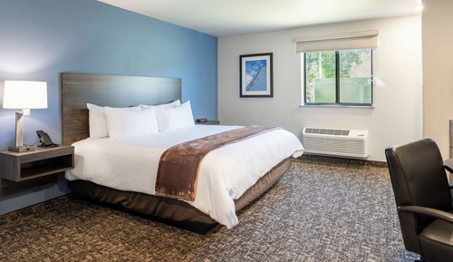 Room, 1 King Bed